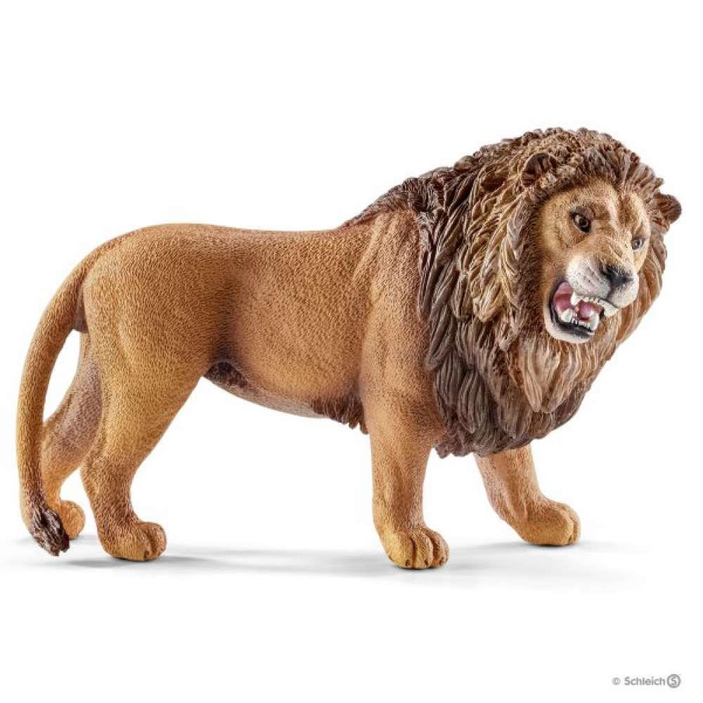 Imagem do produto 1